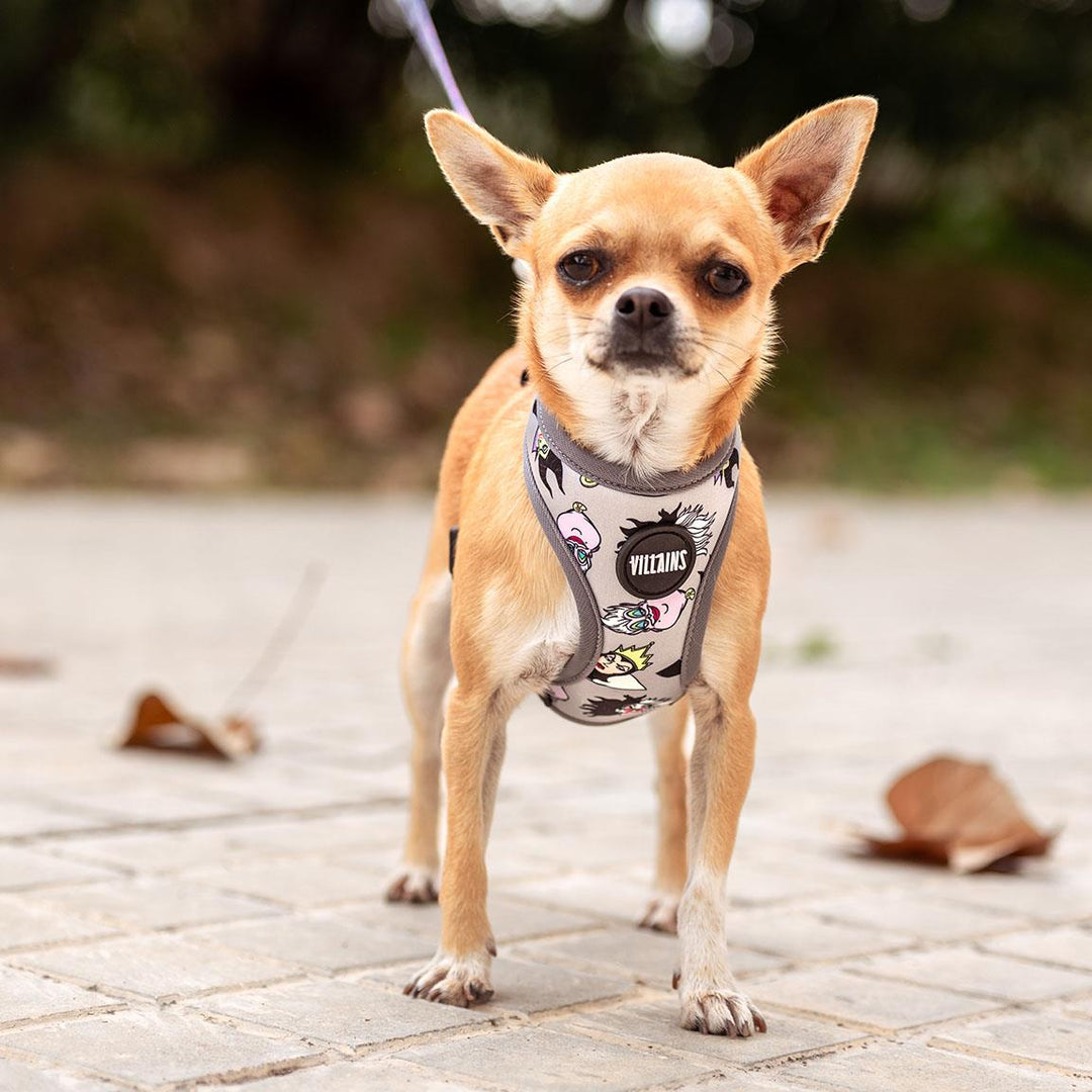 VILLAINS - Dog Reversible Harness - S/M