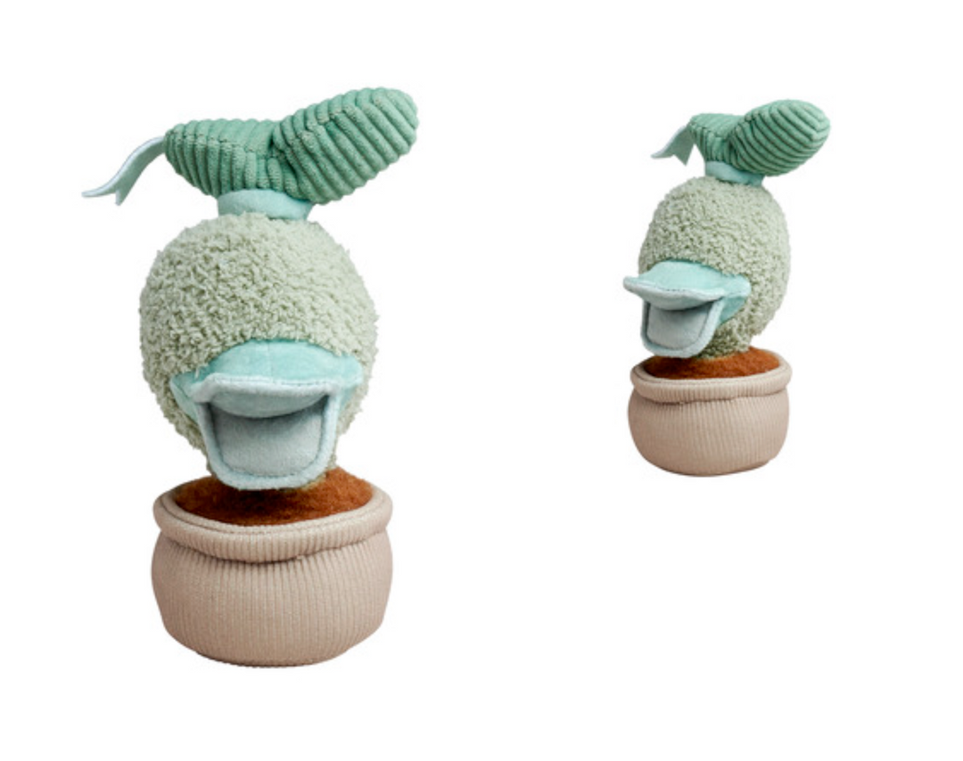 DISNEY - Plant Donald - Plush 18 cm