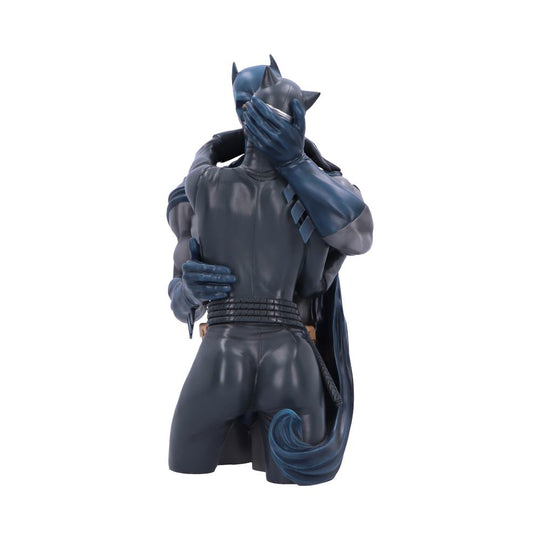 BATMAN - Batman & Catwoman - Bust 30cm