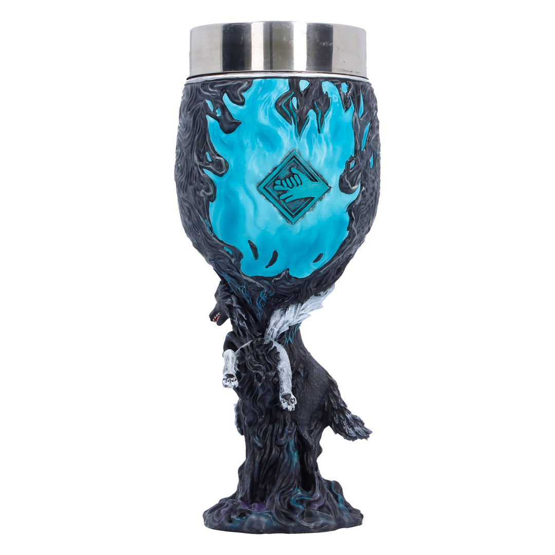 JUJUTSU KAISEN - Megumi Fushiguro - Goblet 19.7cm