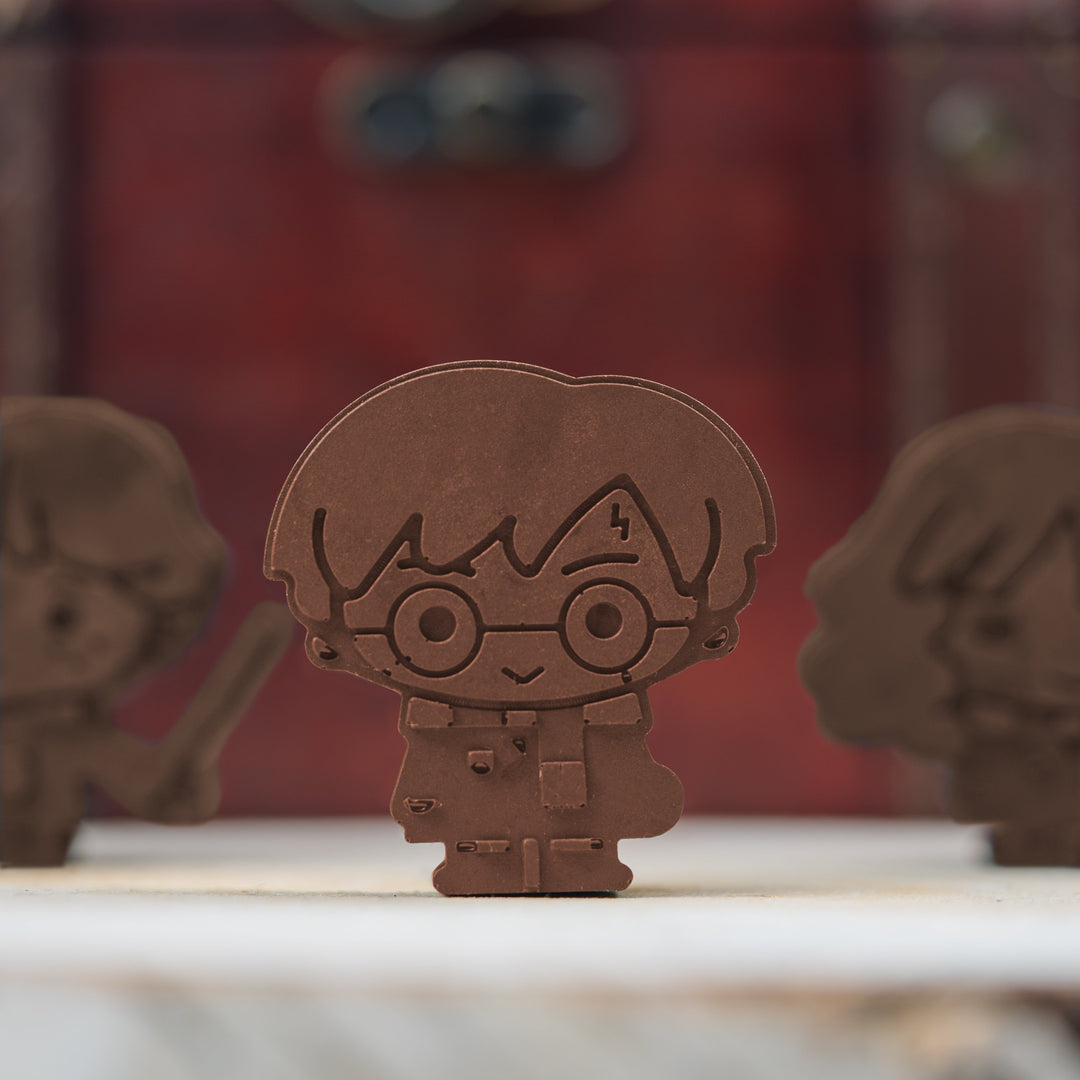 HARRY POTTER - Chocolat and Ice Tray Pack - KawaiI