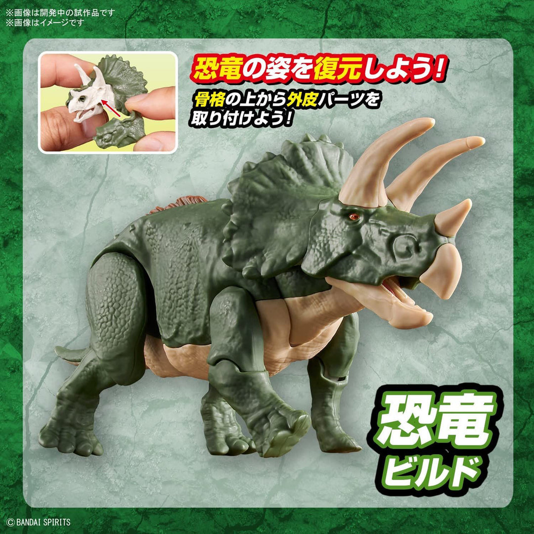 DINOSAUR - New Dinosaur Plastic Triceratops (Tentative) - Model Kit