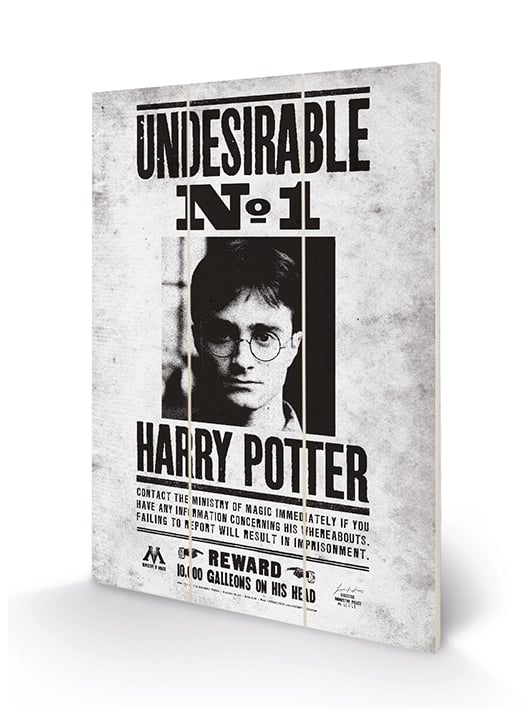 HARRY POTTER - Wood Print 20x29.5 - Undesirable No1