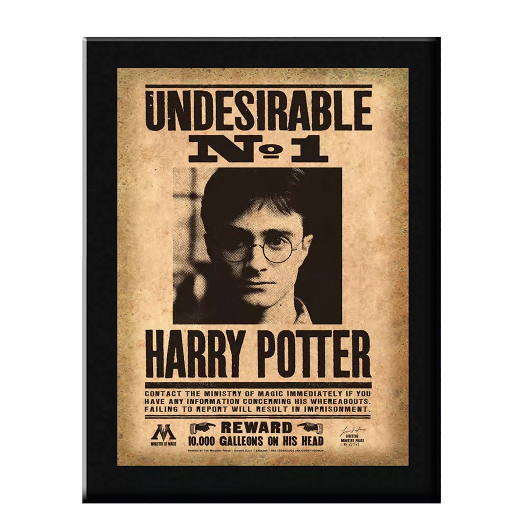 HARRY POTTER - Indesirable N°1 Wall Plaque