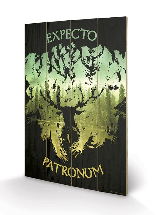 HARRY POTTER - Impression sur Bois 40X59 - Expecto Patronum
