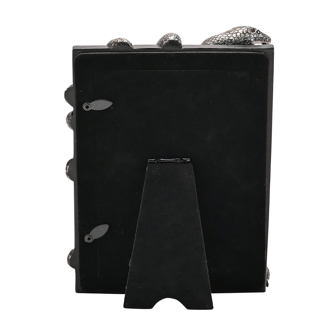 HARRY POTTER - Nagini - 3D Photo Frame