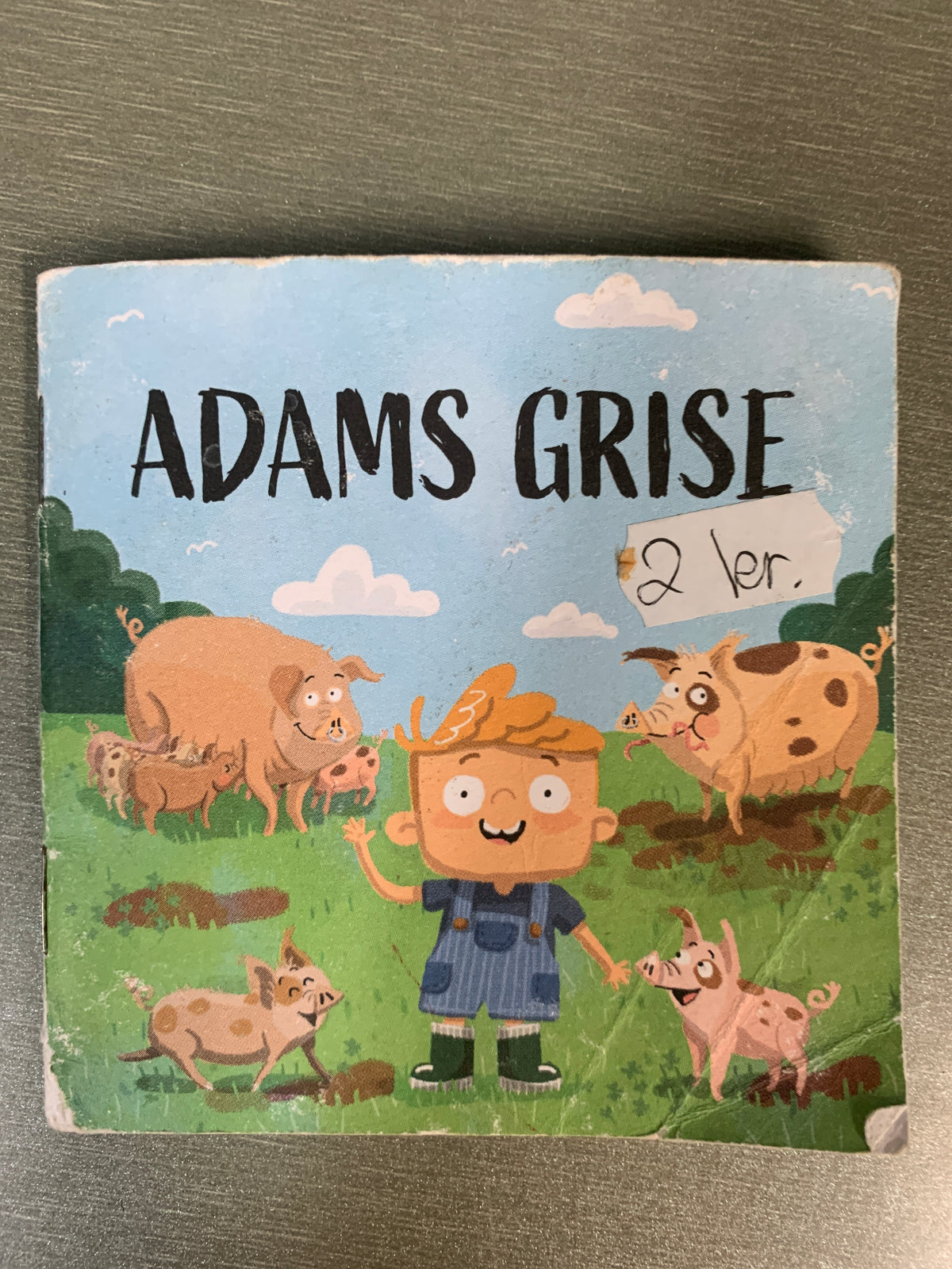 Adams grise