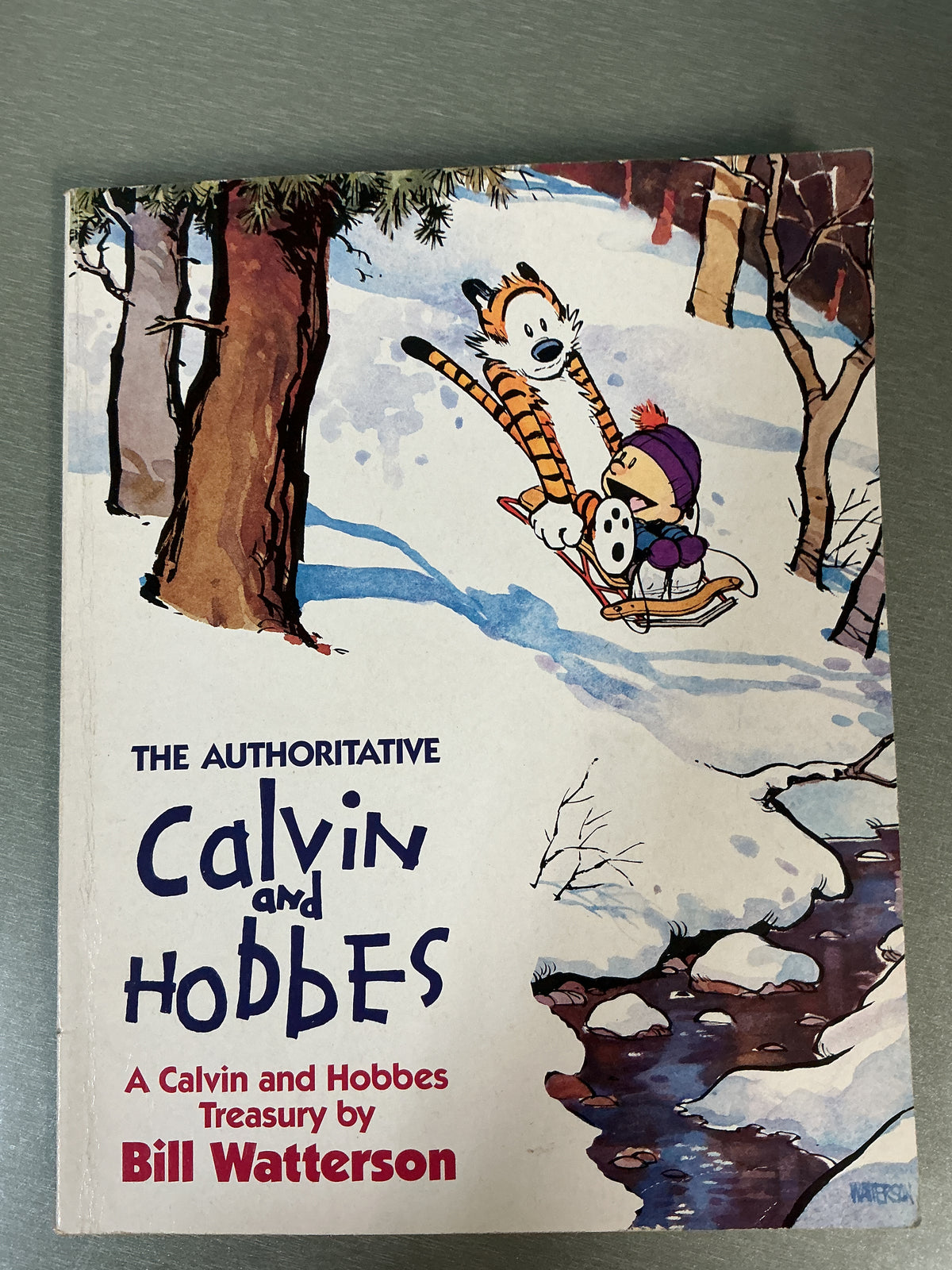 The Authoritative Calvin and Hobbes