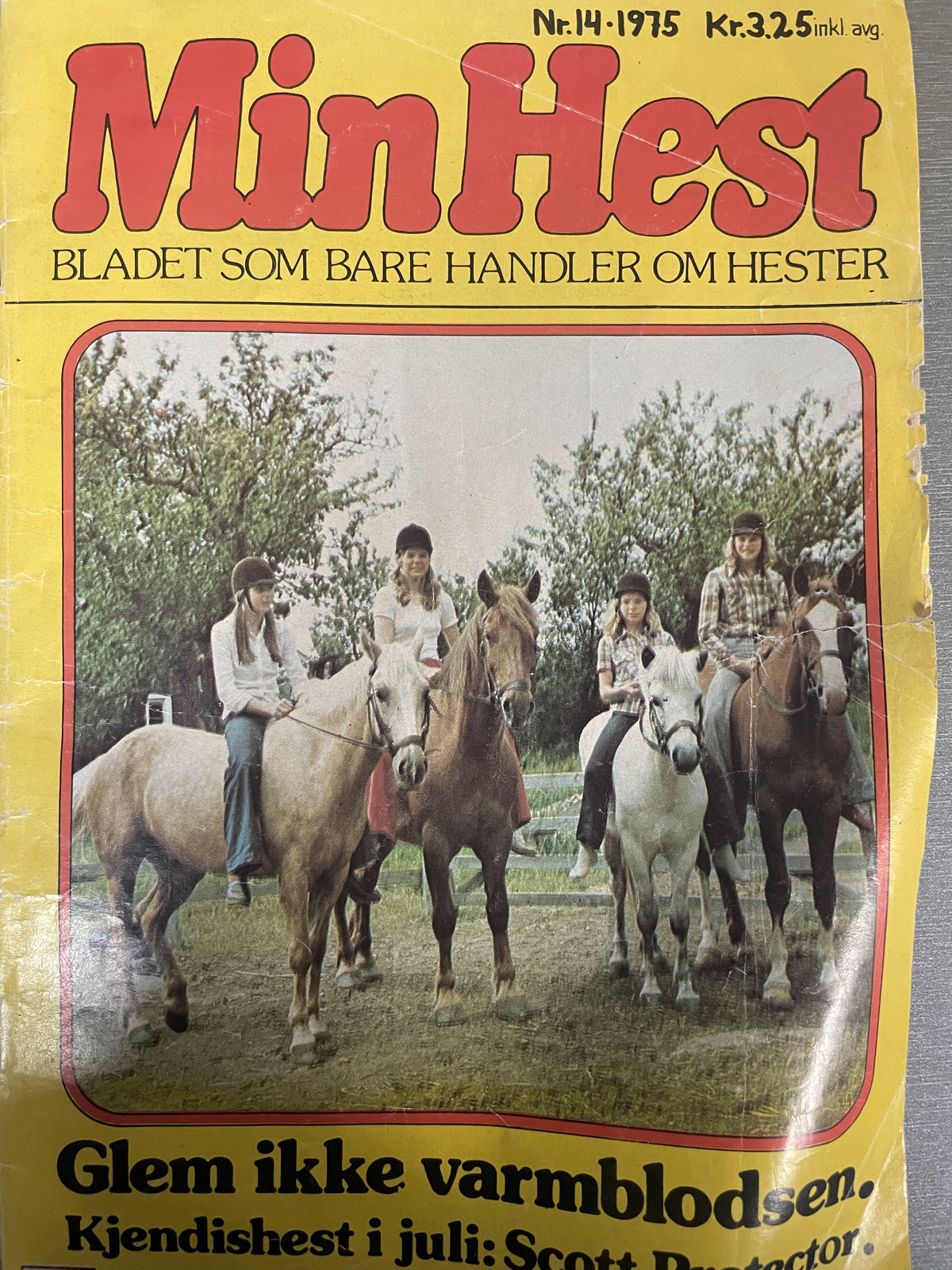 Min Hest Nr. 14 1975