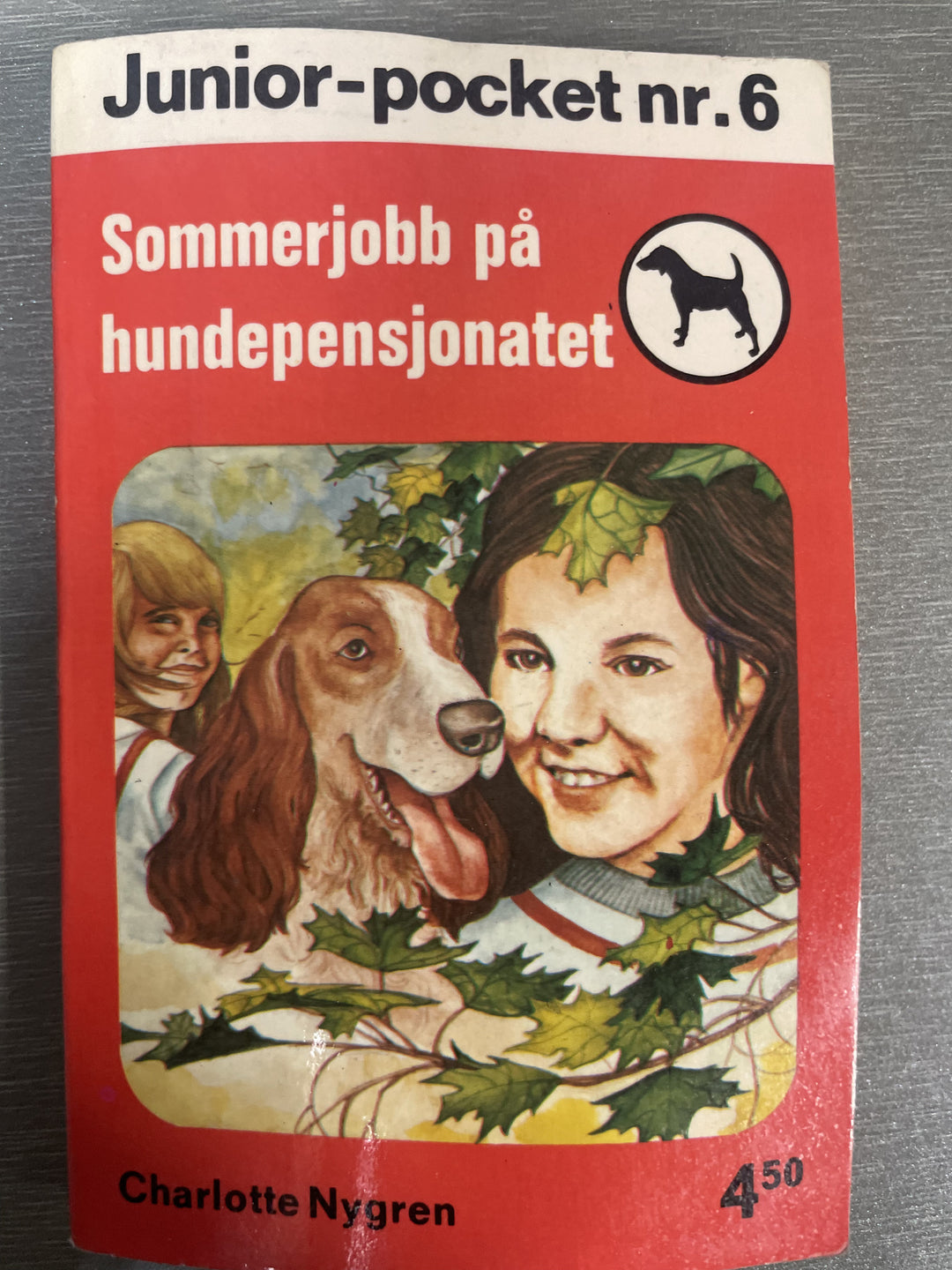 Junior-pocket nr. 6: Sommerjobb på hundepensjonatet