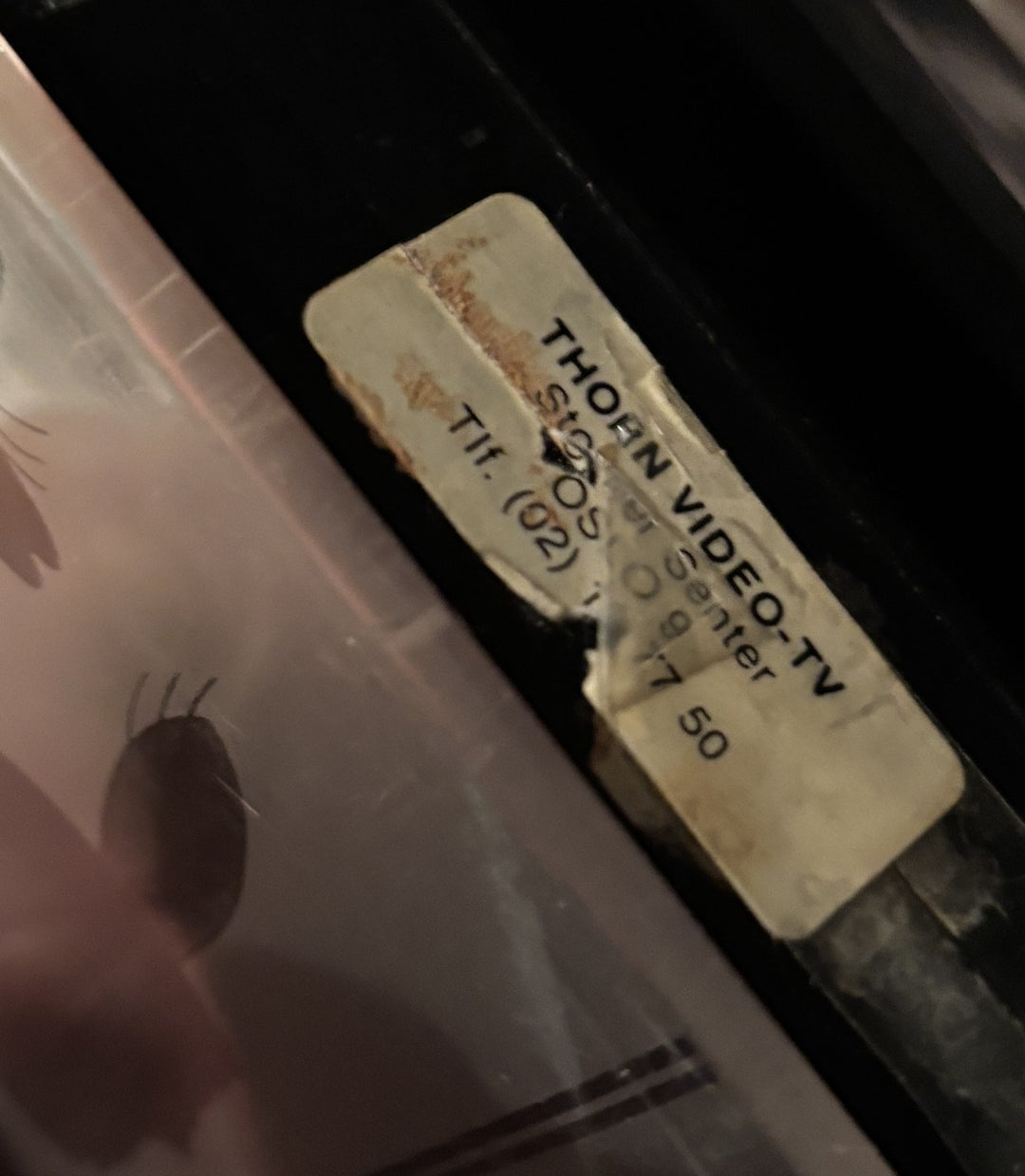 Download / Stream: Haren och Vargen. VHS Glass Box. Swedish rental movie, from Norwegian rental.