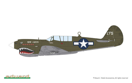 P-40N Warhawk