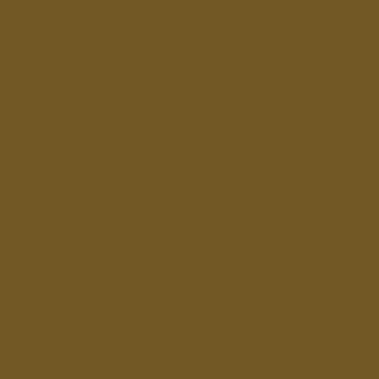 Game Air: Beasty Brown 18 ml
