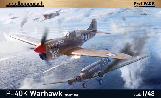 P-40K short tail