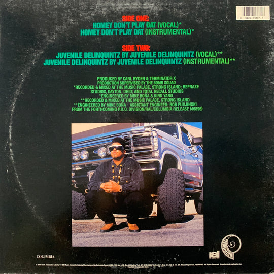 Terminator X & The Valley Of The Jeep Beets – Homey Don't Play Dat. 1991. LP.