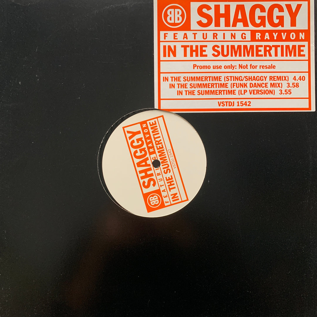 Shaggy Featuring Rayvon - In The Summertime. 1995. LP.