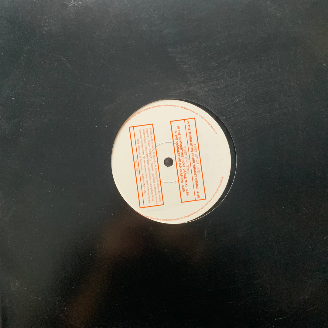 Shaggy Featuring Rayvon - In The Summertime. 1995. LP.