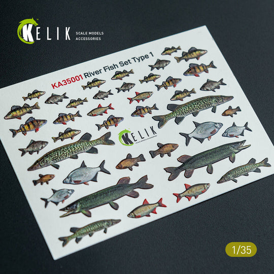River Fish set Type 1 - 3D Decal for dioramas