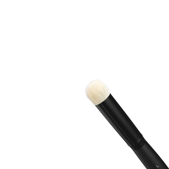 DRY BRUSHES SET