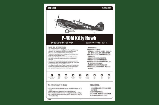 P-40E Kitty Hawk Fighter