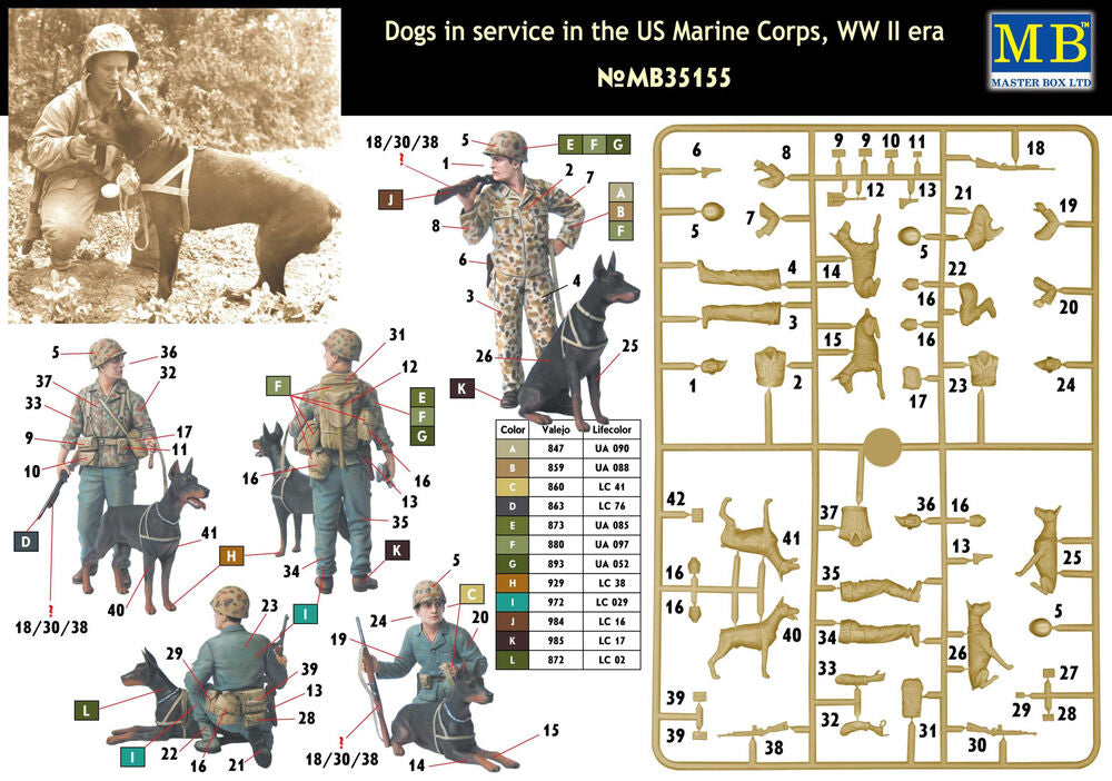 Dogs in service in US Marine Corps