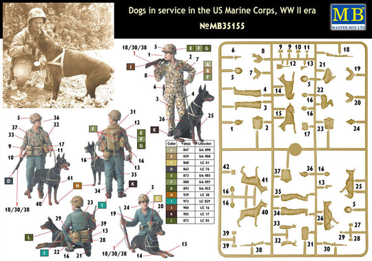 Dogs in service in US Marine Corps
