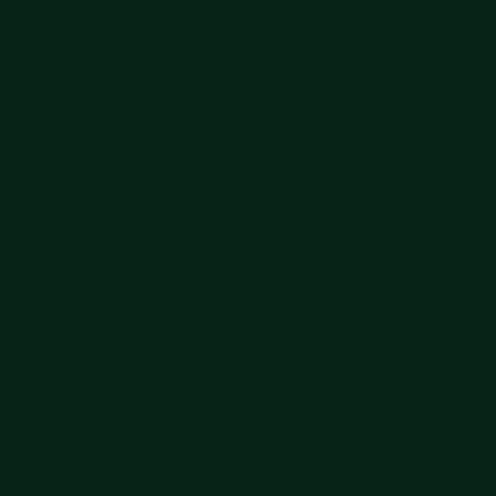 Premium Color: Dark Green 60 ml