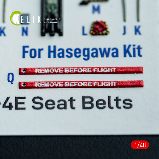 RF-4E - interior 3D decals for Hasegawa kit