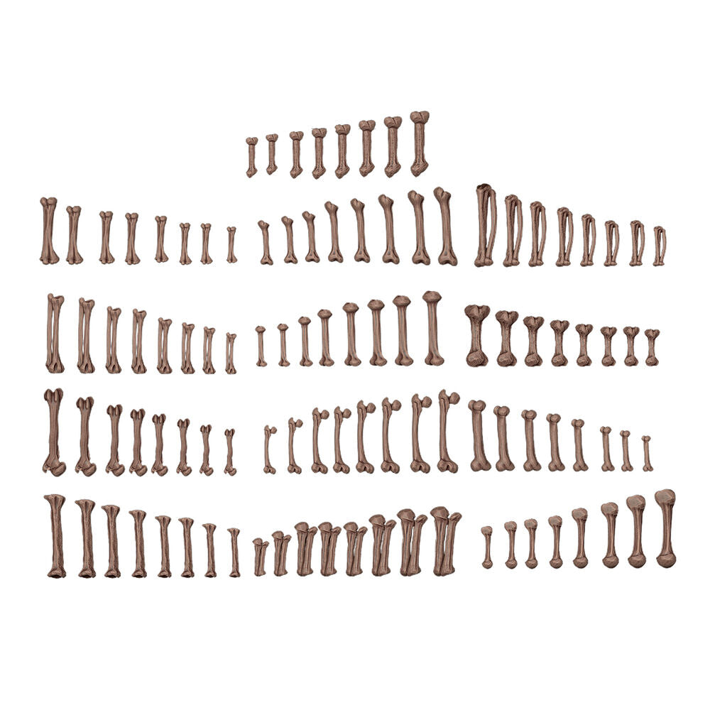 HUMAN BONES - BASING BITS 120 pieces