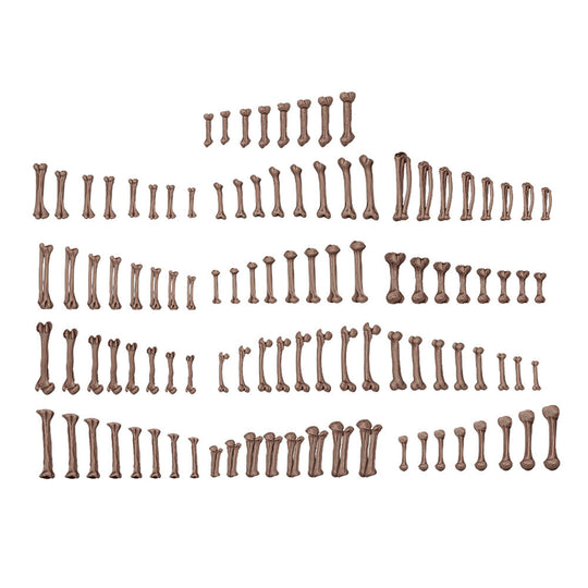 HUMAN BONES - BASING BITS 120 pieces