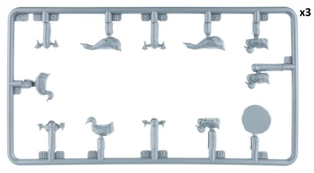 Ducks & Geese