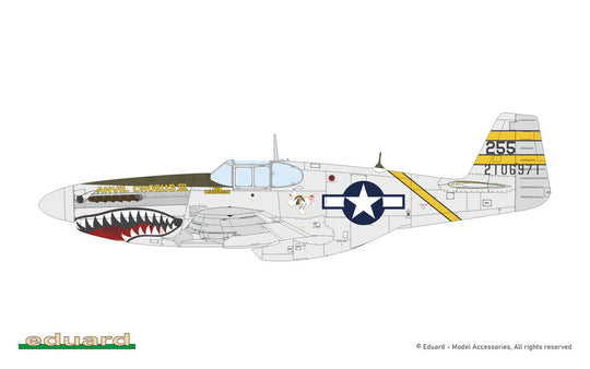P-51B/C Mustang Birdcage canopy