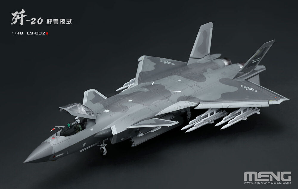 Chinese J-20 Stealth Fighter Beast Mode