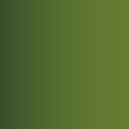 Xpress Color: Orc Skin 18 ml