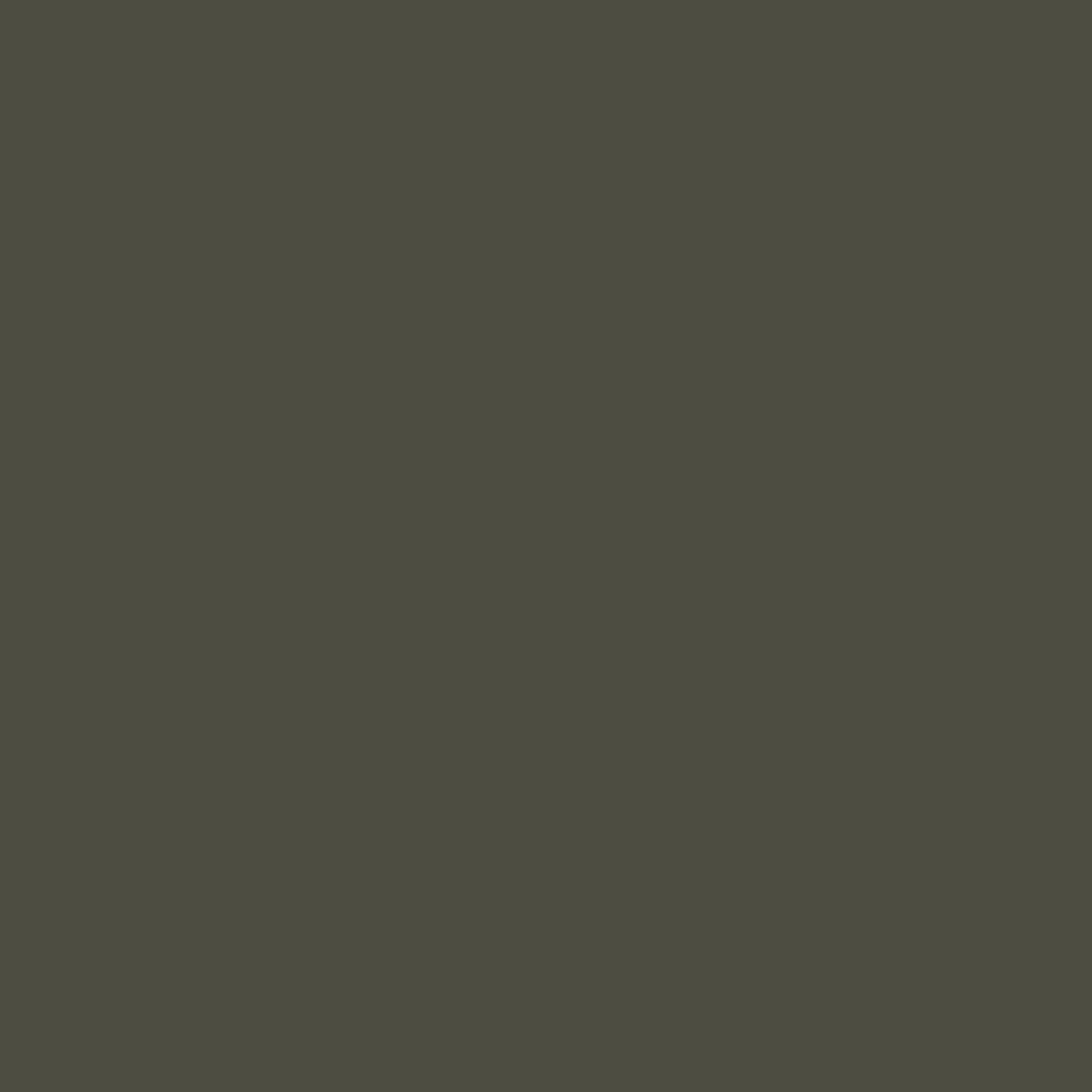 Model Air: Green Brown 18 ml