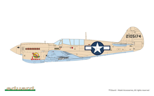 P-40N Warhawk