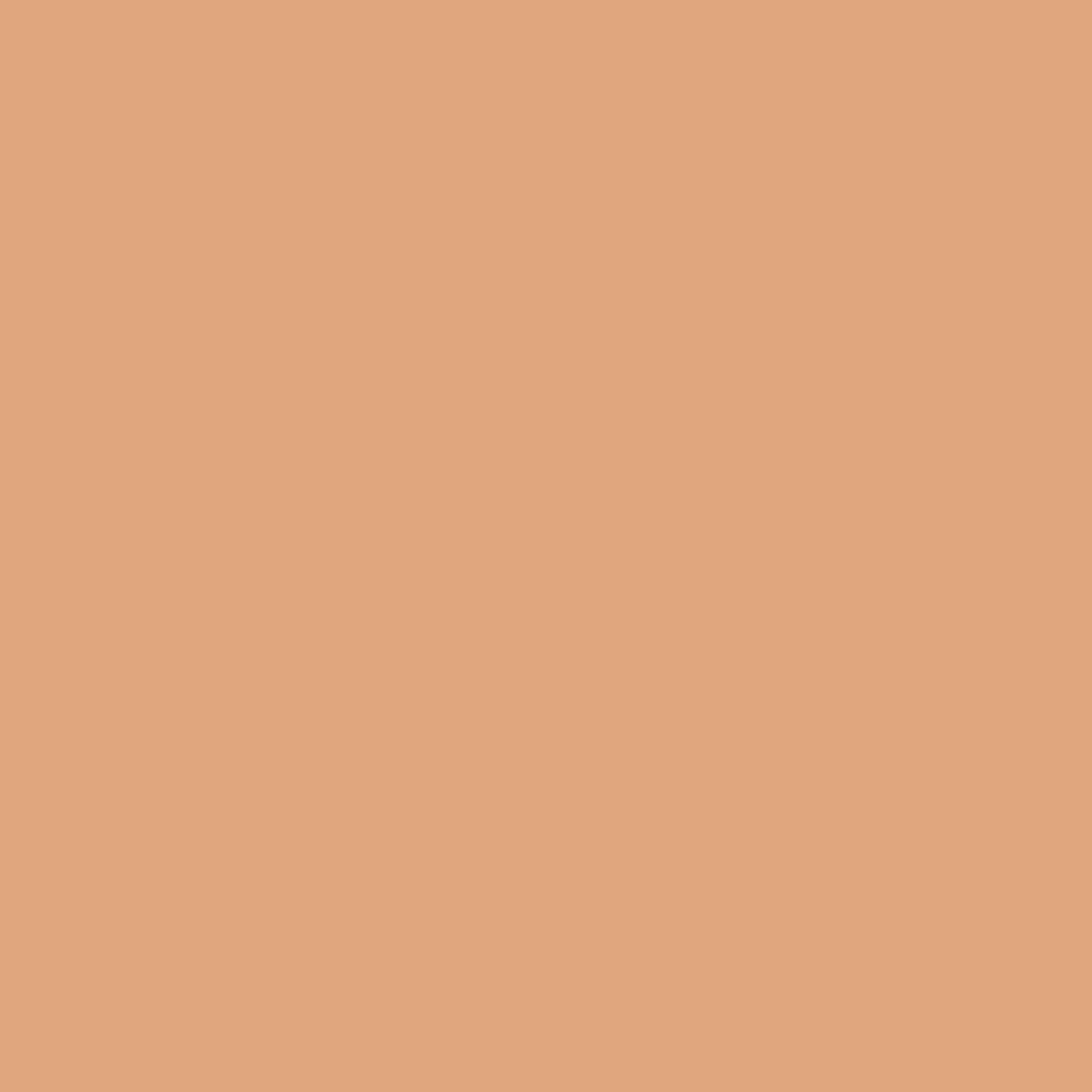 Model Color: 017 - Flat Flesh 18 ml
