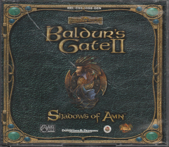 Baldur's Gate II: Shadows of Amn. PC-spill.