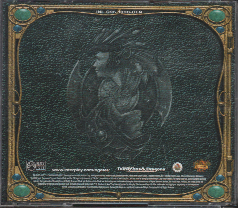 Baldur's Gate II: Shadows of Amn. PC-spill.