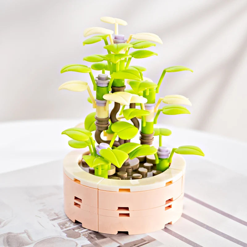 FOREVER FLOWERS - Bricks Succulent - Display 12pcs