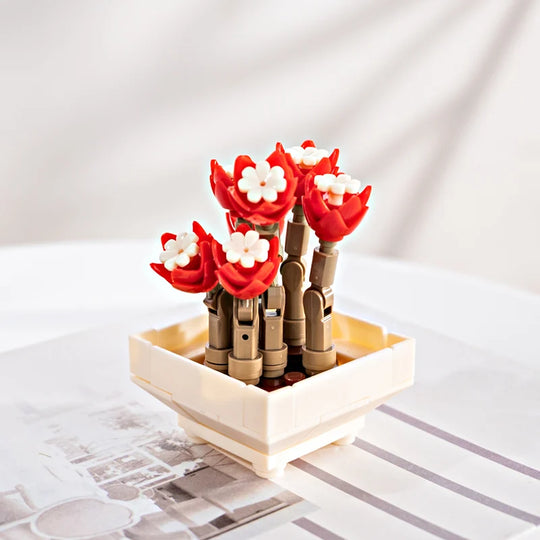 FOREVER FLOWERS - Bricks Succulent - Display 12pcs