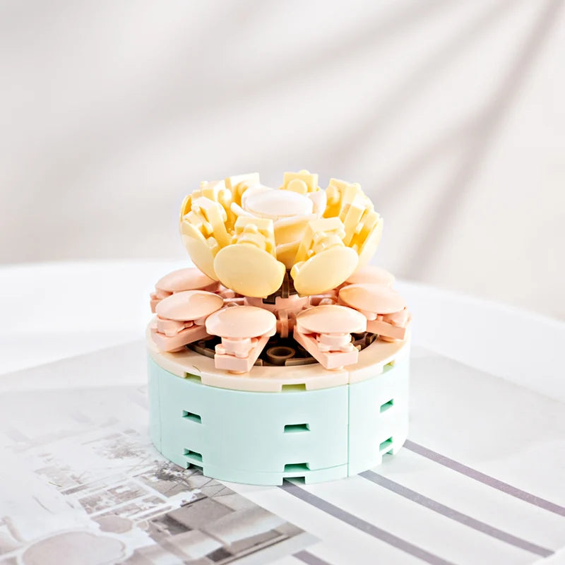FOREVER FLOWERS - Bricks Succulent - Display 12pcs