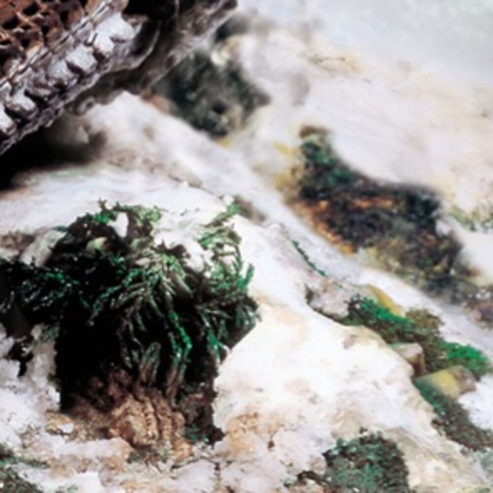 Weathering FX: Snow 40 ml
