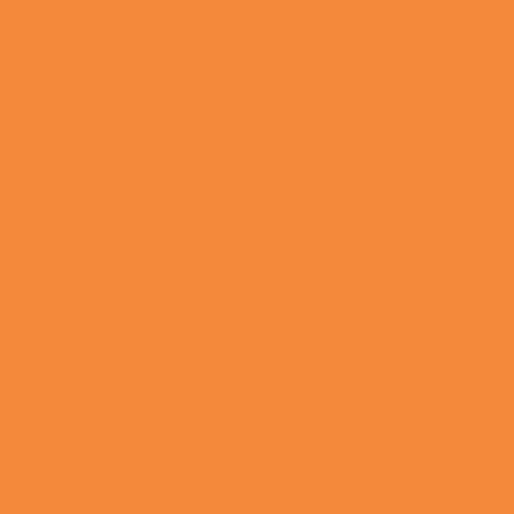 Model Color: 029 - Light Orange 18 ml