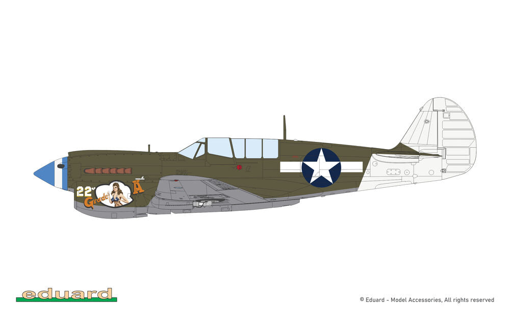 P-40N Warhawk