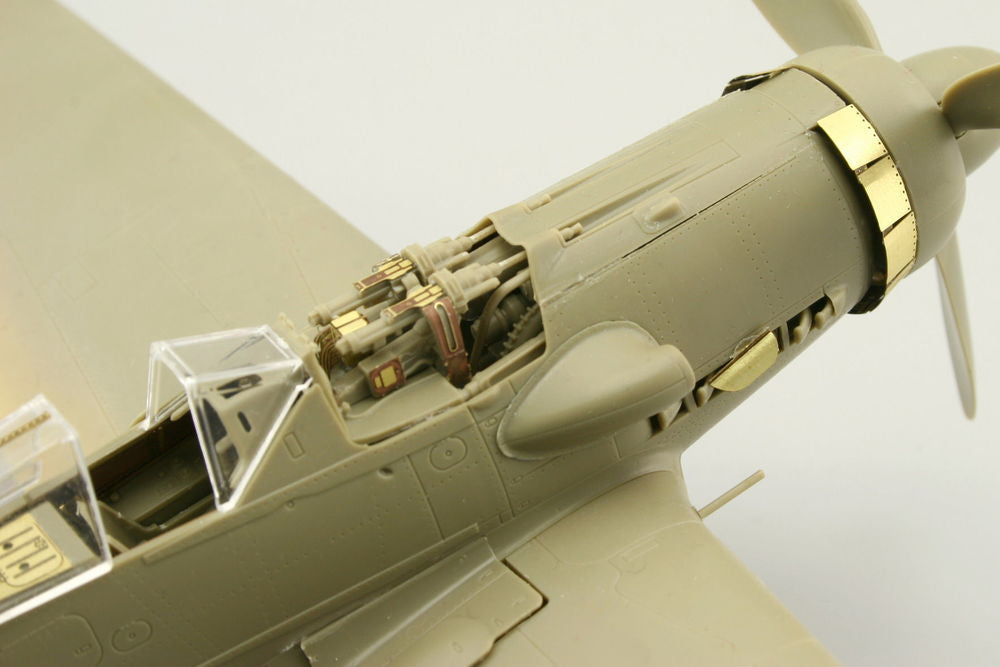 Fw 190D-9 für Eduard