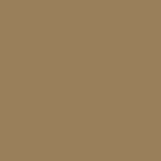 Pigment FX: Natural Umber 35 ml