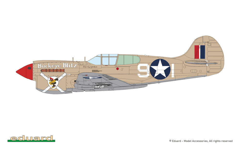 P-40K short tail