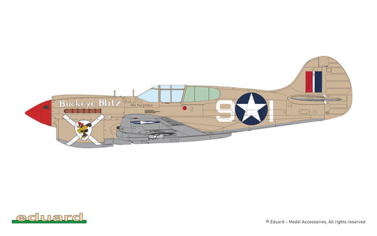 P-40K short tail