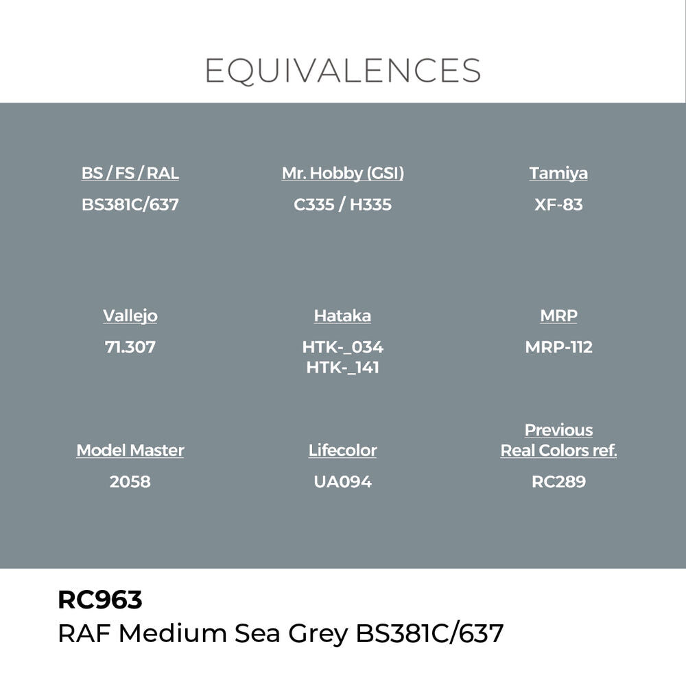 Real Colors: RAF Medium Sea Grey BS381C/637 17 ml.